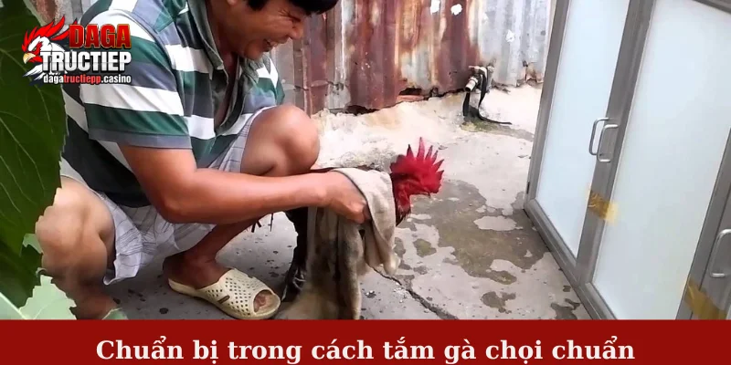Cách Tắm Gà Chọi Chuẩn – Bí Quyết Giữ Lửa Chiến Kê 2 Chuẩn bị trong cách tắm gà chọi chuẩn