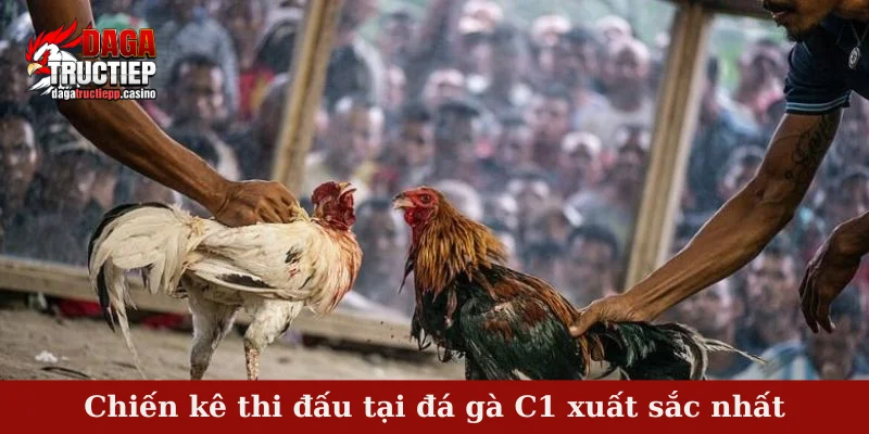 Đá Gà C1 - Bồ Gà Tổ Chức Trận Đấu Đá Gà Gay Cấn 3 Đá gà C1 được cấp phép hoạt động tại Campuchia