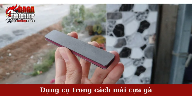 Cách Mài Cựa Gà Chuẩn – Bí Quyết Lên Lực Đòn Hiểm 2 Dụng cụ trong cách mài cựa gà