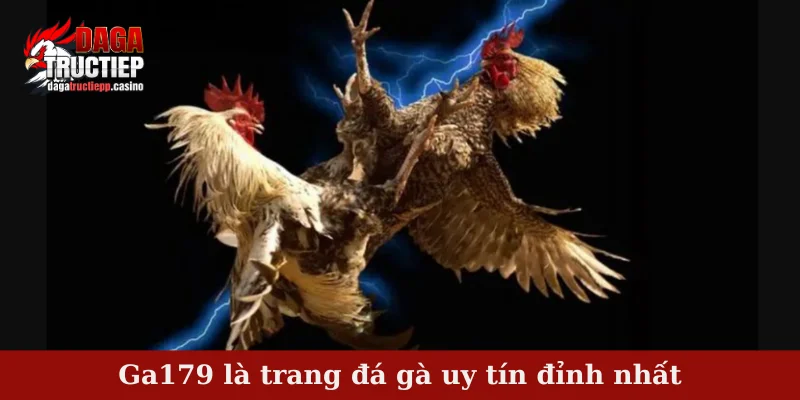 Top 3 Trang Đá Gà Uy Tín Được Yêu Thích Nhất Tại Việt Nam 3 Ga179 là trang đá gà uy tín đỉnh nhất