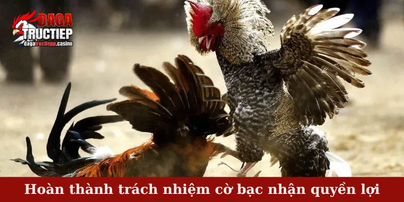 Trách Nhiệm Cờ Bạc - Hiểu Đúng Để Chơi Vui Cùng DAGA 4 Hoàn thành trách nhiệm cờ bạc nhận quyền lợi