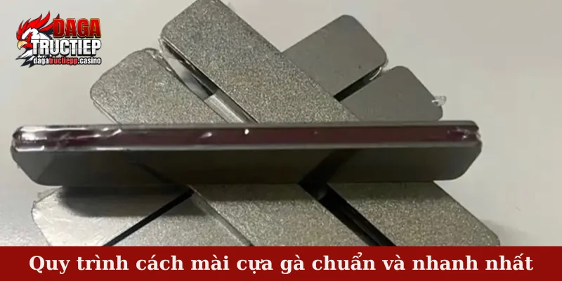 Cách Mài Cựa Gà Chuẩn Và Nhanh Cho Sư Kê Chuyên Nghiệp 3 Quy trình cách mài cựa gà chuẩn và nhanh nhất