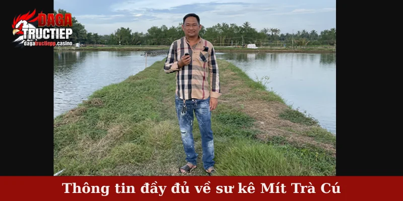 Sư Kê Mít Trà Cú – Huyền Thoại Chiến Kê Vang Danh Việt 2 Thông tin đầy đủ về sư kê Mít Trà Cú