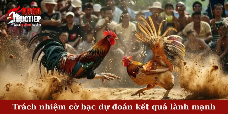 Trách Nhiệm Cờ Bạc - Hiểu Đúng Để Chơi Vui Cùng DAGA 3 Trách nhiệm cờ bạc dự đoán kết quả lành mạnh