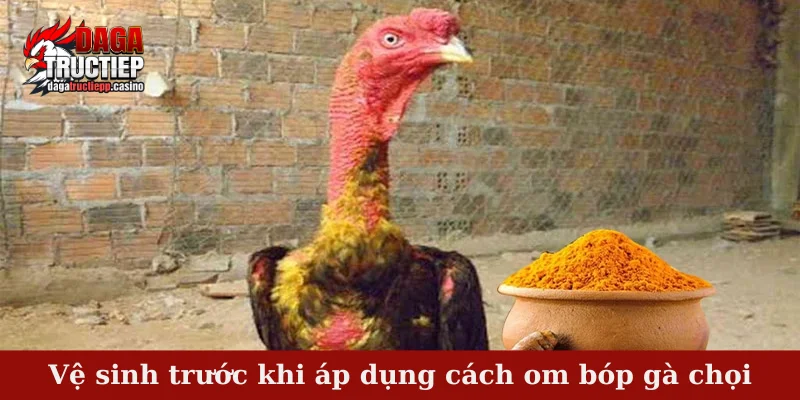 Cách Om Bóp Gà Chọi Chuẩn 4 Bước Cho Tân Sư Kê 3 Vệ sinh trước khi áp dụng cách om bóp gà chọi