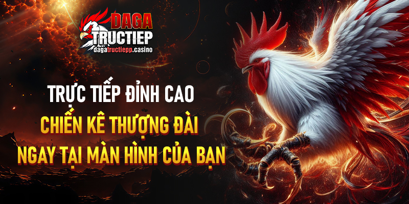 Đá Gà Trực Tiếp ÉC🎖️ Link Livestream Full HD - Chân Gà Xả Tắc 9/2026 4 Các loại hình đá gà trực tiếp được phát sóng