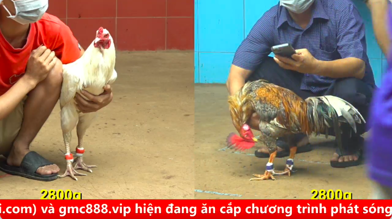Trận 6 bồ gà cpc 4 ngày 04/09/2025 - Hàng hiệu đụng hàng giả 1 4